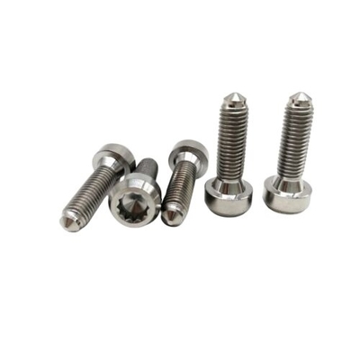 DIN 표준 M7 x 24mm 6AL-4V 티타늄 합금 볼트